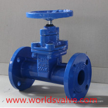 DIN3202 F5 Gate Valve (Z45X-10/16)